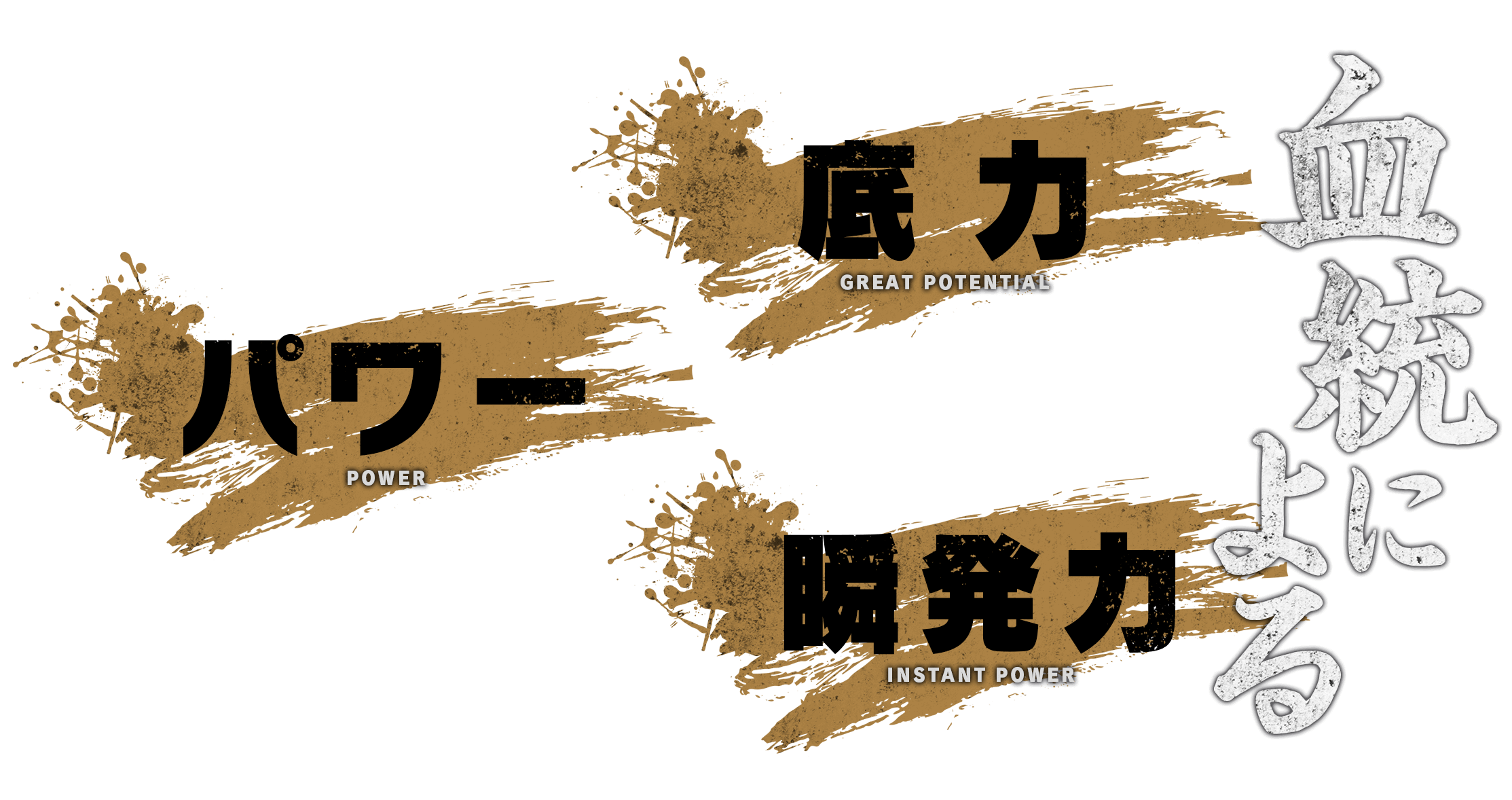 引き継がれる血筋　不人気馬でも血統次第では弊社では◎は当たり前。